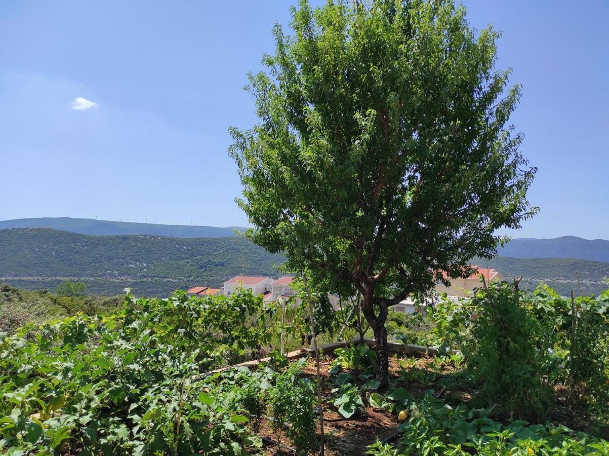 One Bedroom Apartment Gogo With Private Parking Neum Εξωτερικό φωτογραφία