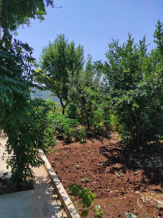One Bedroom Apartment Gogo With Private Parking Neum Εξωτερικό φωτογραφία